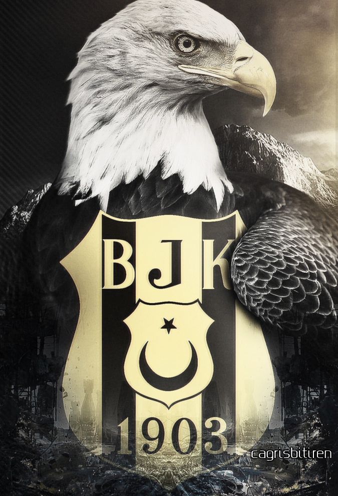 BEŞIKTAŞ JK: The&nbsp;Nest